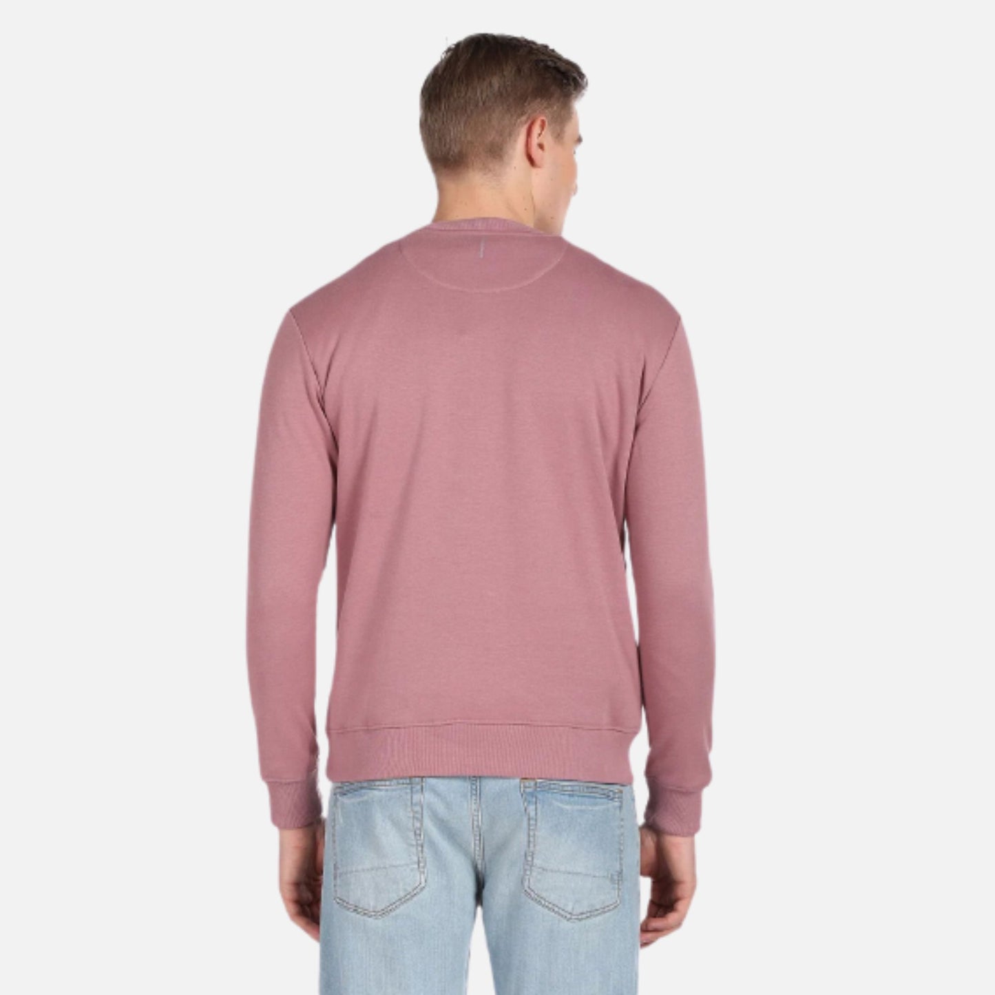 Crew Neck Solid Sweatshirt