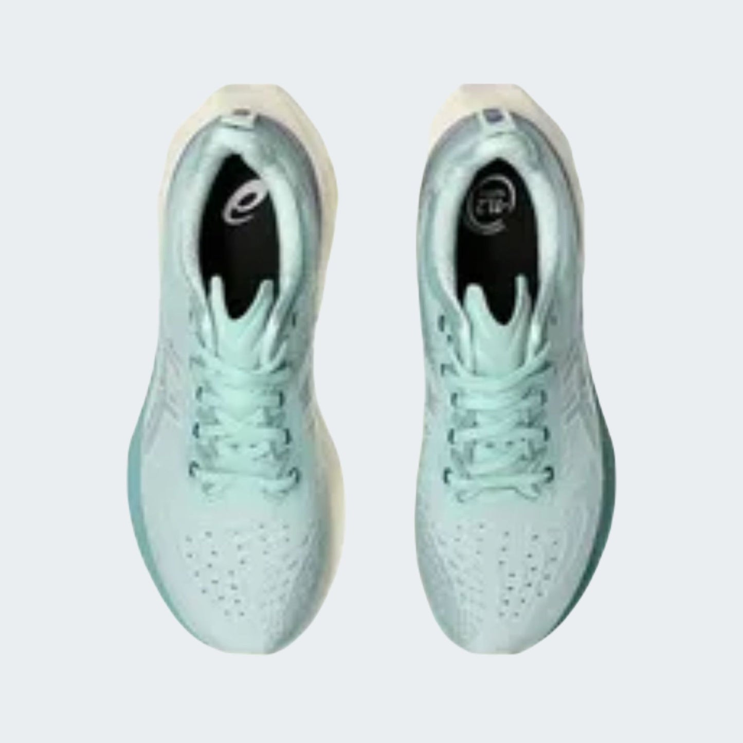 LIGHT CELADON/BLUE EXPANSE NOVABLAST 4