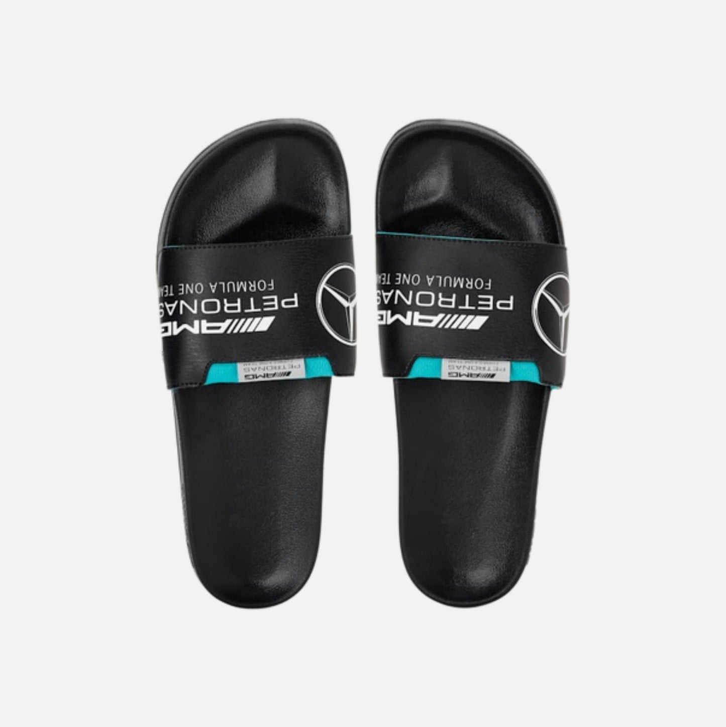 Mercedes AMG Petronas F1 Leadcat 2.0 Logo Slides