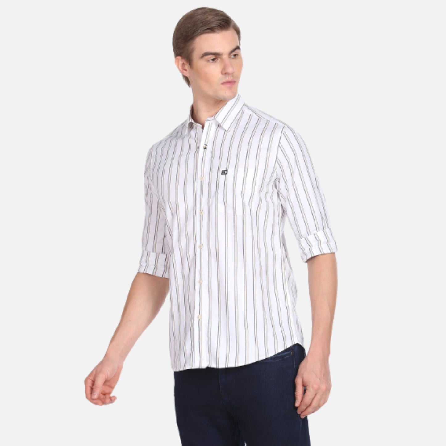 Arrow Vertical Stripe Cotton Casual Shirt