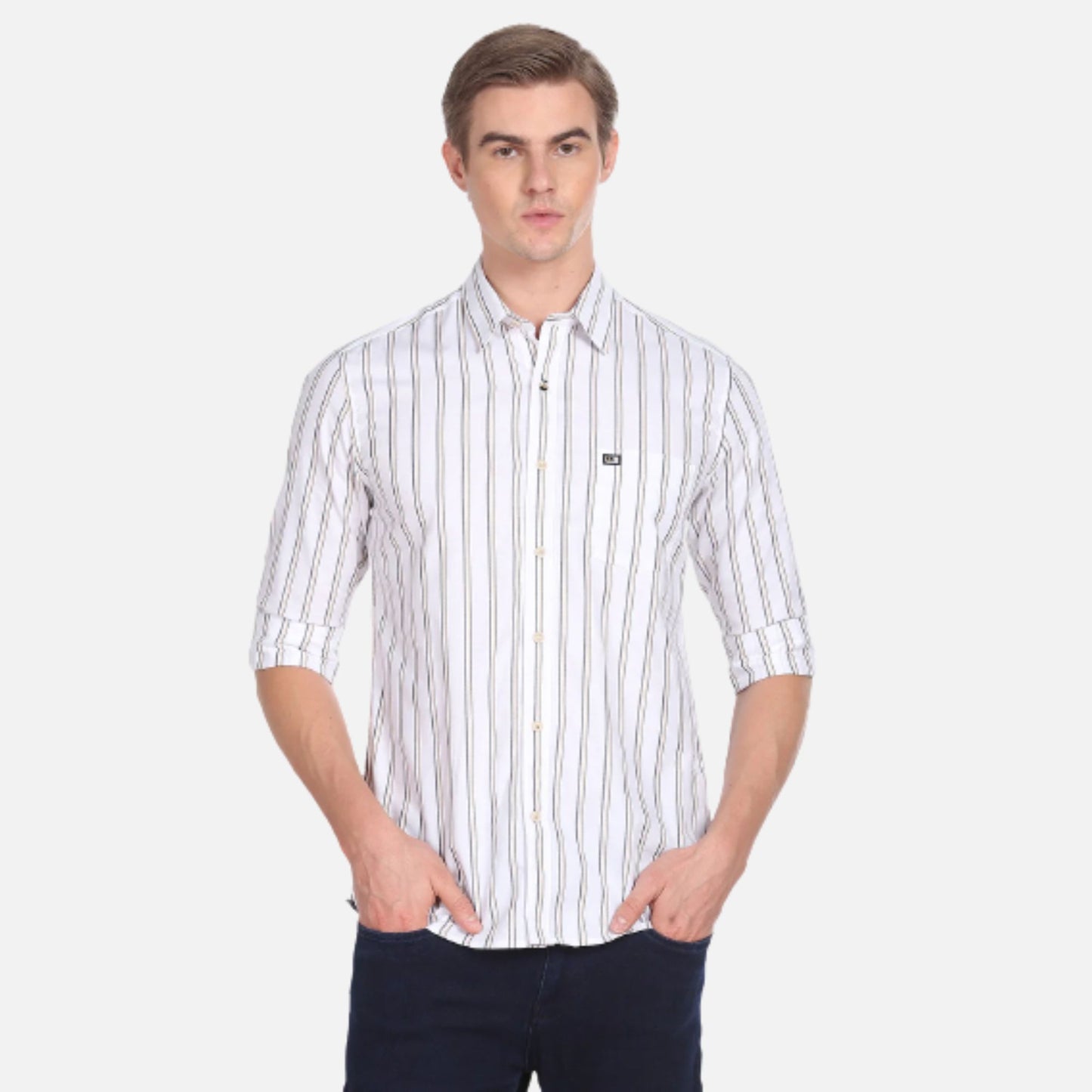 Arrow Vertical Stripe Cotton Casual Shirt