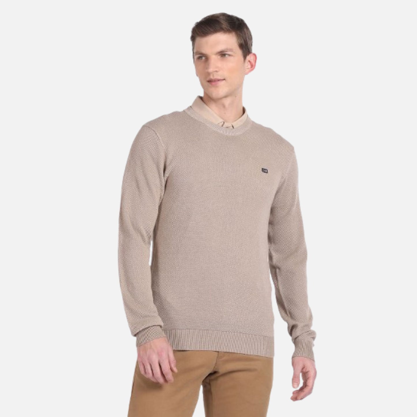 Crew Neck Solid Sweater