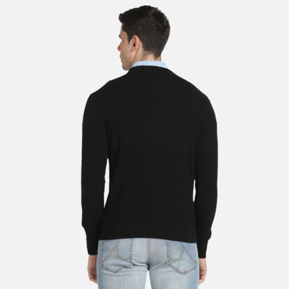 Crew Neck Solid Sweater