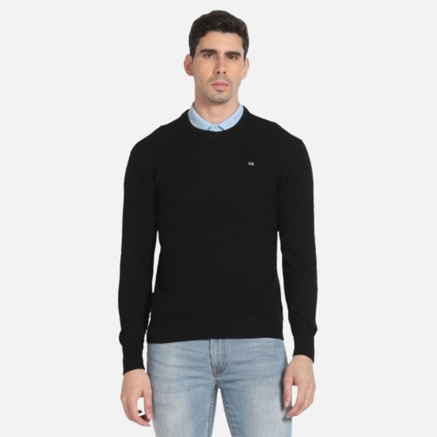 Crew Neck Solid Sweater