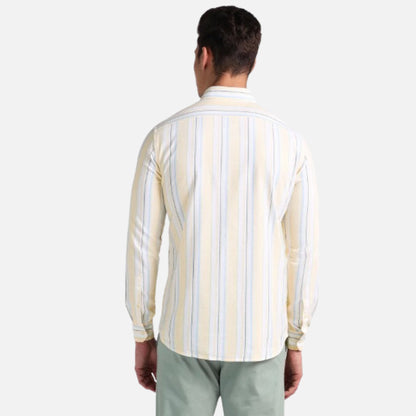 Vertical Stripe Oxford Shirt