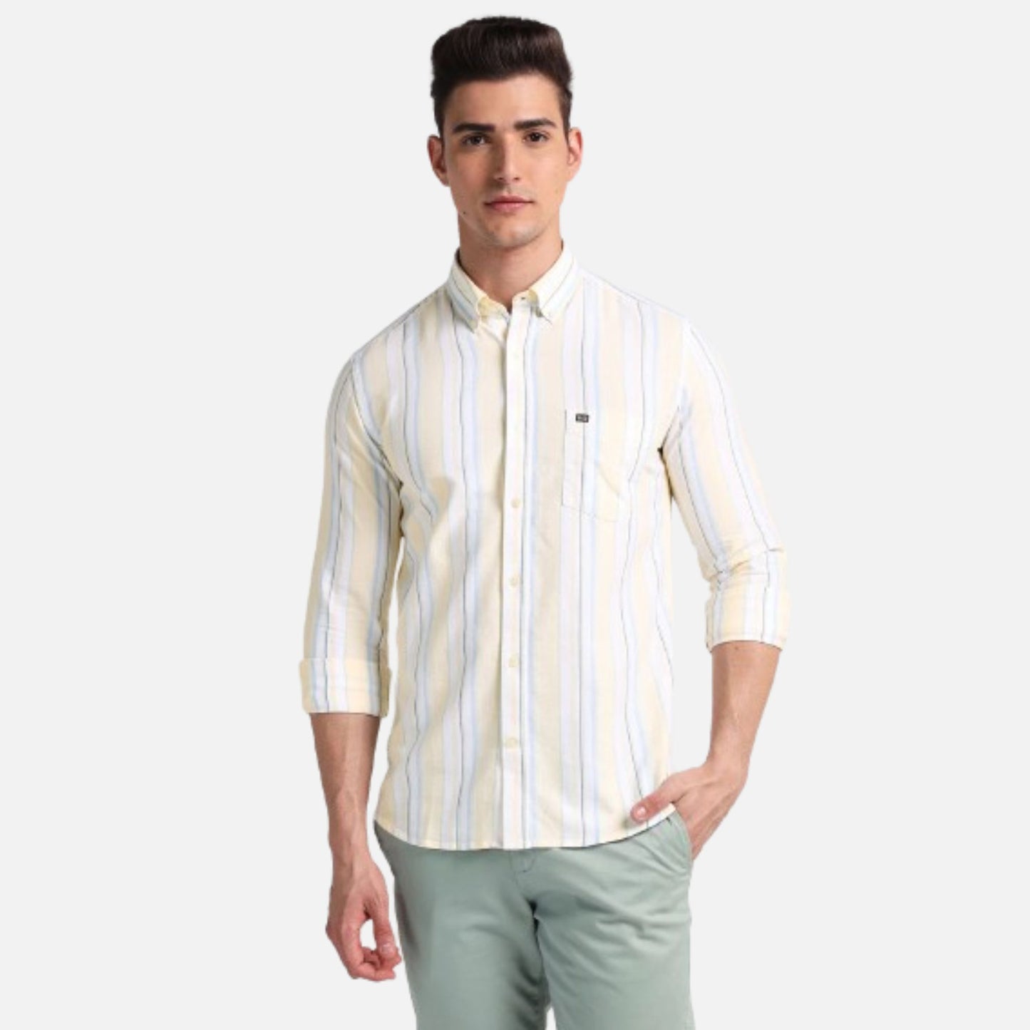 Vertical Stripe Oxford Shirt