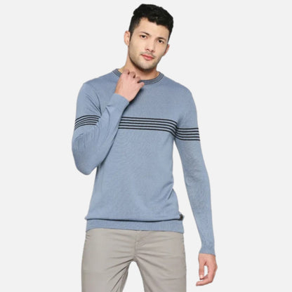 Regular Fit Men Crew Neck Sweatshirt