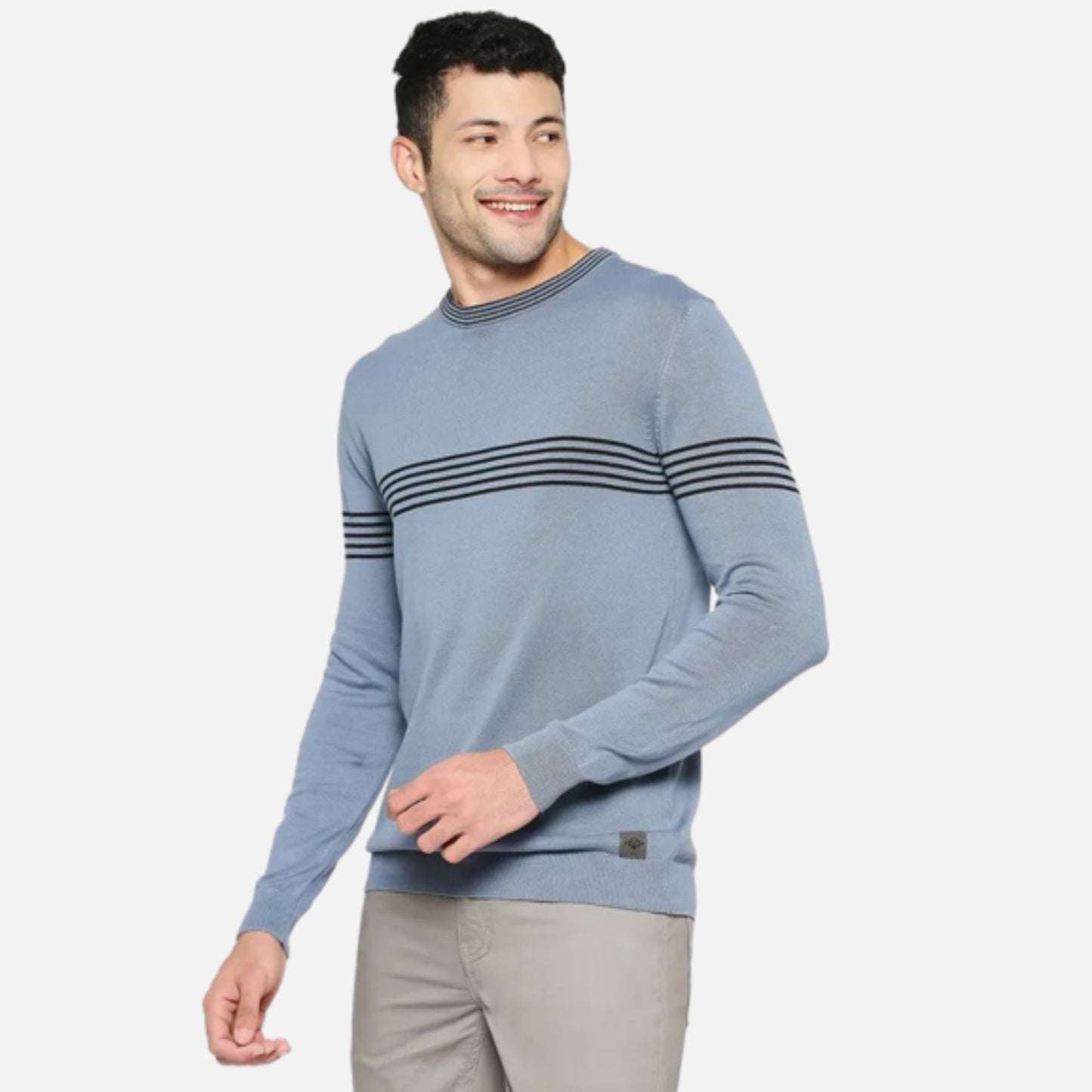 Regular Fit Men Crew Neck Sweatshirt