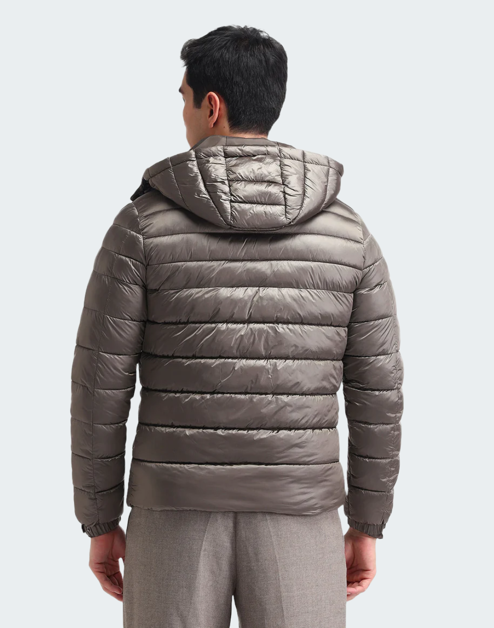 Regular Fit Solid Padded Jacket