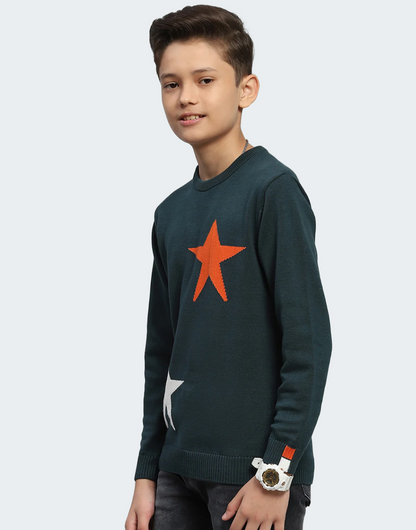 Boys Green Self Design Round Neck Full Sleeve Pullover