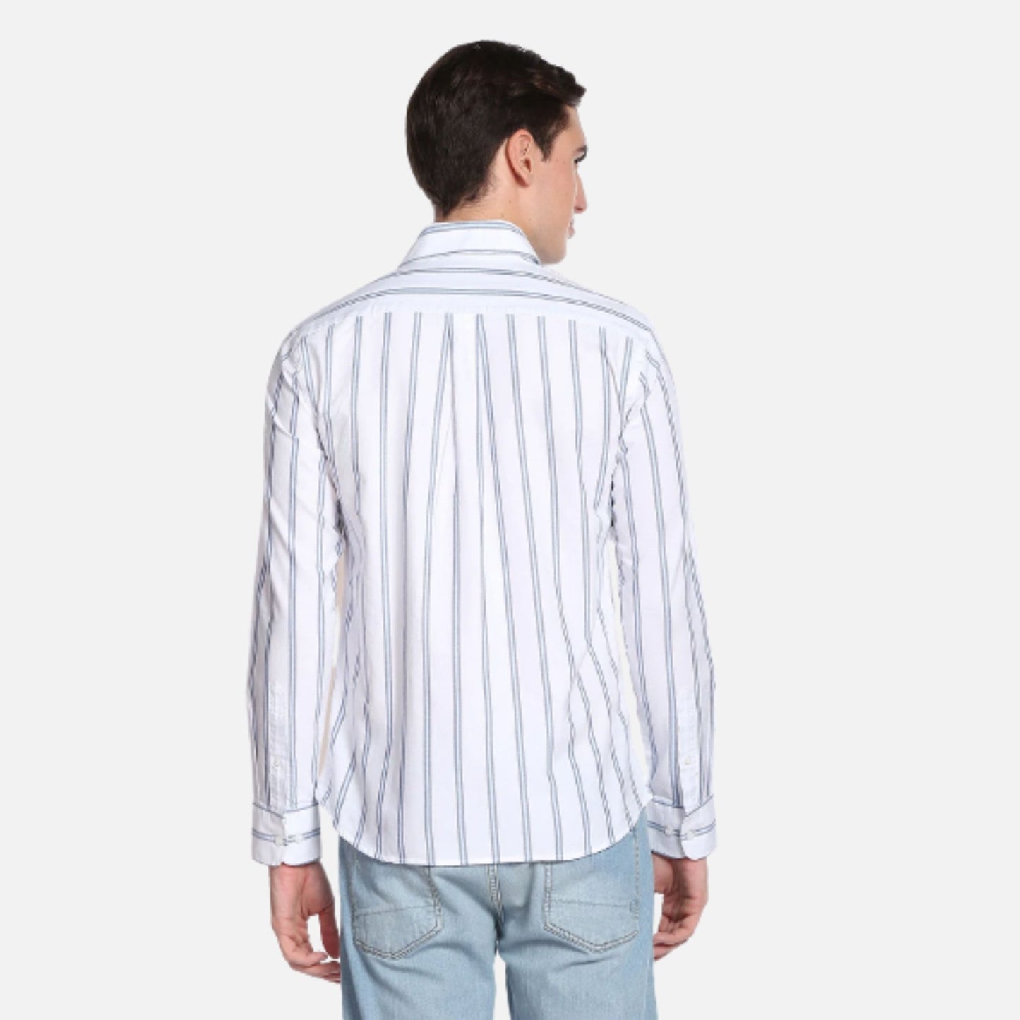 Vertical Stripe Oxford Casual Shirt