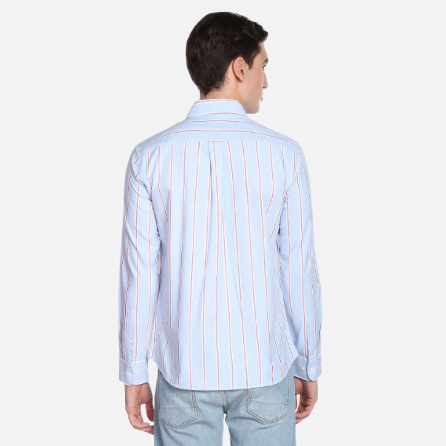 Vertical Stripe Oxford Casual Shirt