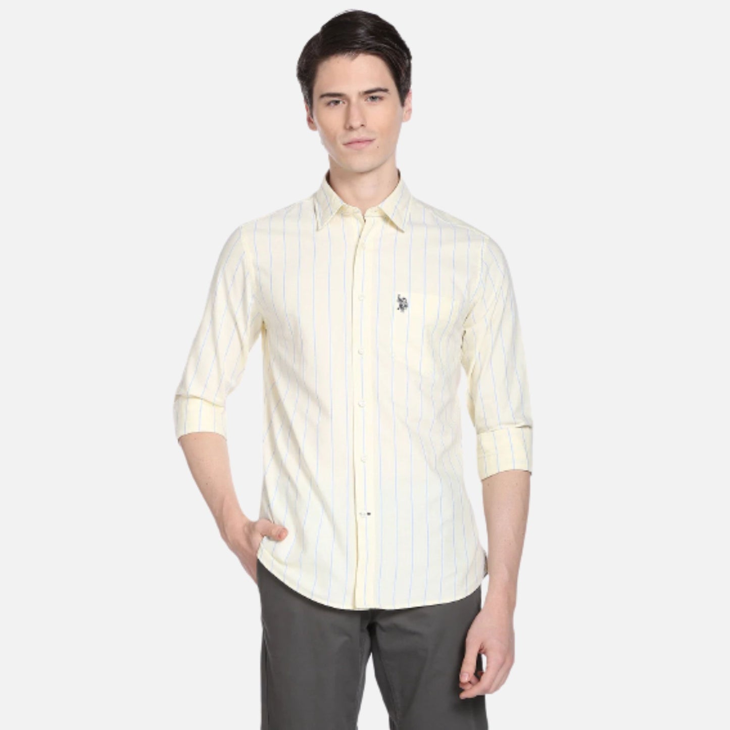 Vertical Stripe Oxford Casual Shirt